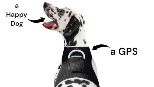 USB Rechargeable GPS GSM Dog Cat Collar Tracker Waterproof Pet Locator Size:XXL