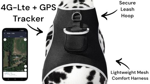 Inexpensive Animal Tracking Device GPS GSM Dog Collar Mount Finder NEW Size:L