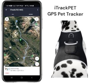 Collar Mount GPS Dog Tracker Waterproof Realtime Wireless Pet Monitor Size:M