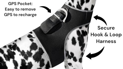 GSM GPS Mini Pet Tracking Dog Collar Mount Tracker Waterproof with App Size:M