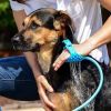 Portable Dog Shower Easy Install Pet Supplies Water Spray Bath Brush Use Plastic Family Pet Cleaning Grooming Accessories