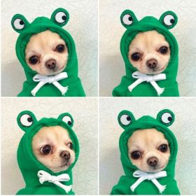 Adorable dog hoodie costumes multiple style options (XS - XXL) Dog Love Two Legged Pet Clothing (Option: 5 Style-XS)