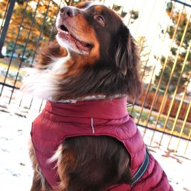 Alpine Extreme Cold Puffer Coat (Color: Burgundy, size: X-Small)