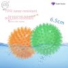 Spiky Ball Dog Chew Toys - 2 piece set