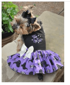 Too Cute To Spook Halloween Dress (size: X-Small)