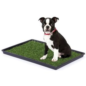 Tinkle Turf (Option: Medium)