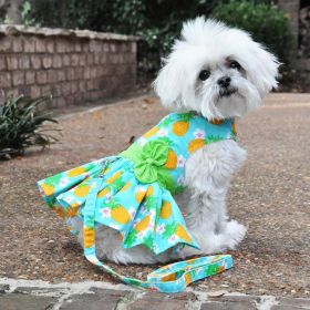 Pineapple Luau Dog Harness Dress with Matching Leash (size: X-Small)