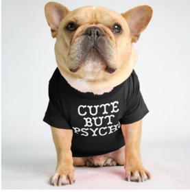 Dog clothing round collar T-shirt (Color: Black, size: S)