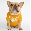 Dog clothing round collar T-shirt