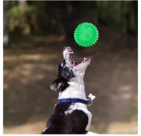 Spiky Ball Dog Chew Toys - 2 piece set (Colors: 6.5CM green 2pcs)