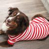 Dog Polo Striped Shirt