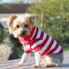 Dog Polo Striped Shirt