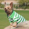 Dog Polo Striped Shirt